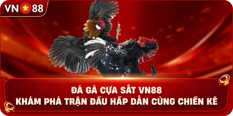 da-ga-cua-sat-vn88-kham-pha-tran-dau-hap-dan-cung-chien-ke
