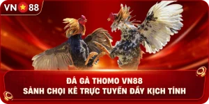 da-ga-thomo-vn88-sanh-choi-ke-truc-tuyen-day-kich-tinh