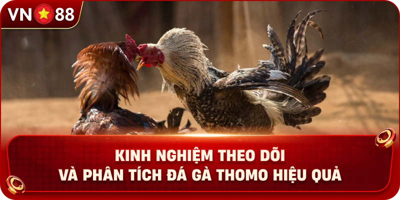 kinh-nghiem-theo-doi-va-phan-tich-da-ga-thomo-hieu-qua