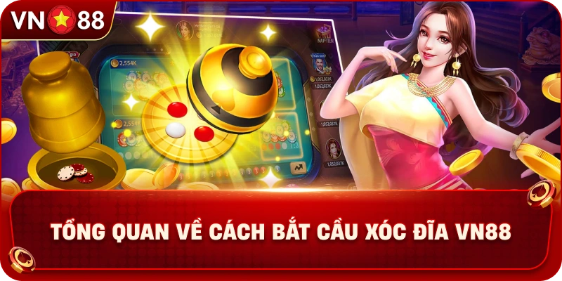 tong-quan-ve-cach-bat-cau-xoc-dia-vn88