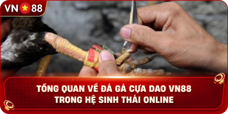 tong-quan-ve-da-ga-cua-dao-vn88-trong-he-sinh-thai-online