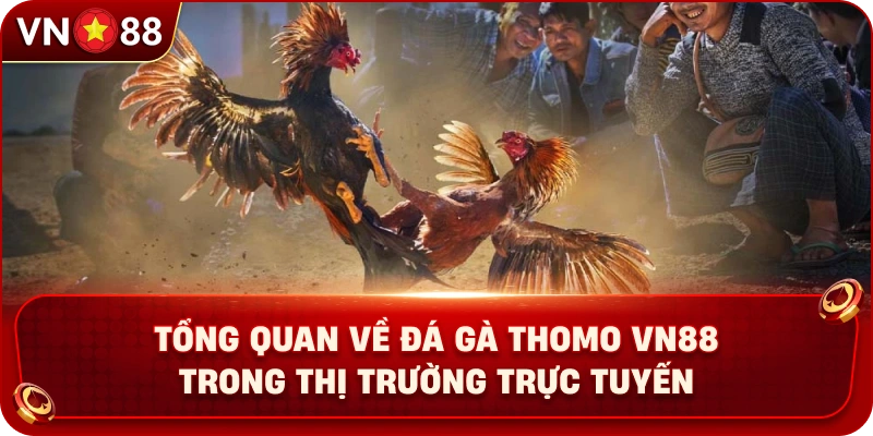 tong-quan-ve-da-ga-thomo-vn88-trong-thi-truong-truc-tuyen