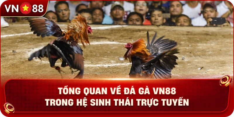 tong-quan-ve-da-ga-vn88-trong-he-sinh-thai-truc-tuyen